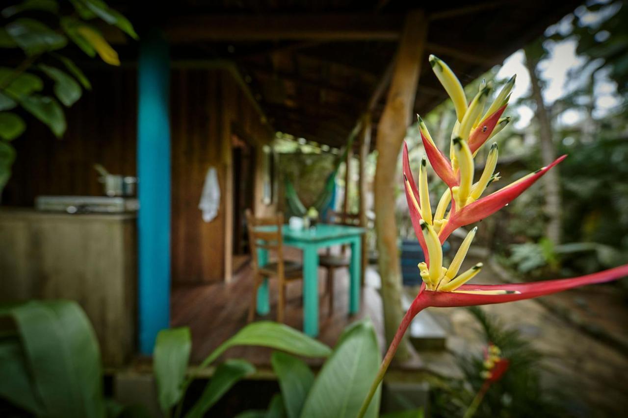 Casa Vana Hiriketiya Диквелла Экстерьер фото